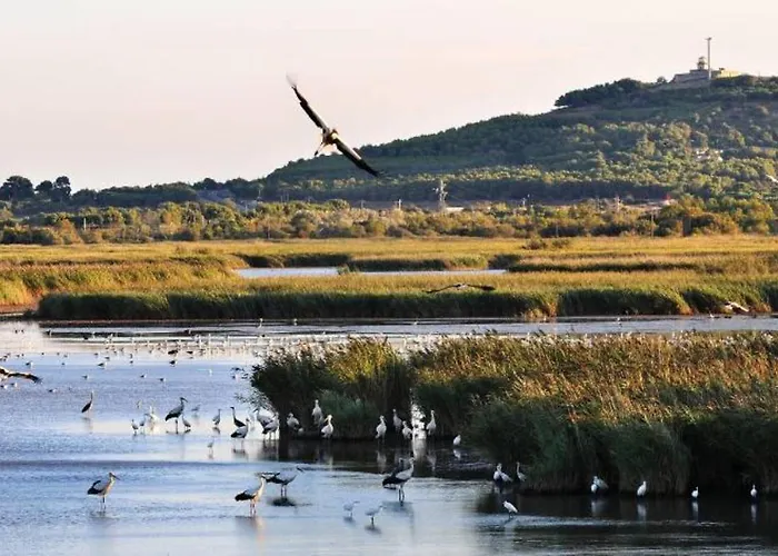 Confortable Au Cap D'agde Avec Port, Plages Et Nature Accessible à Pied * Agde